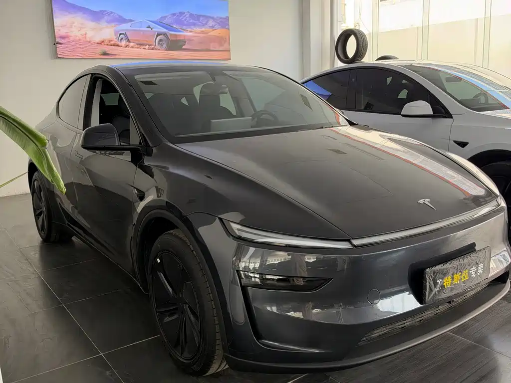 Tesla Model Y — фото 3