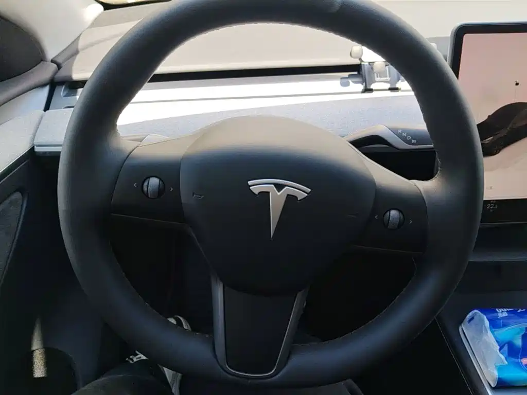Tesla Model Y — фото 11