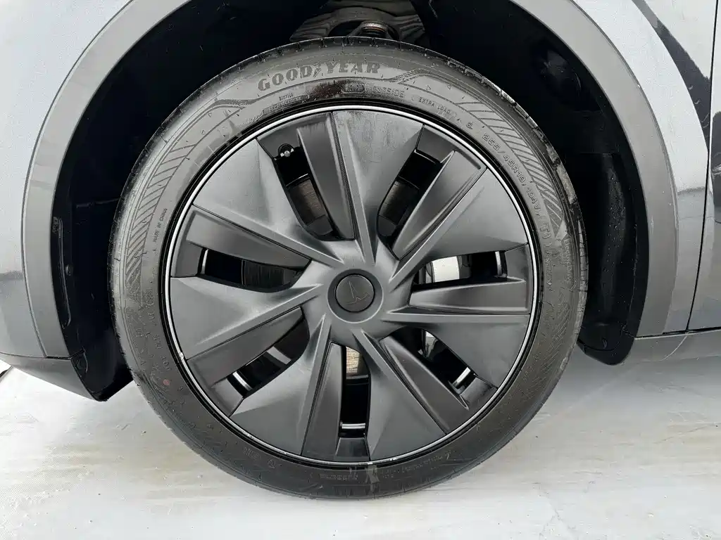 Tesla Model Y — фото 11