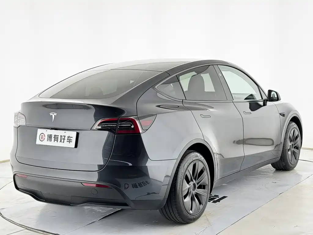 Tesla Model Y — фото 13