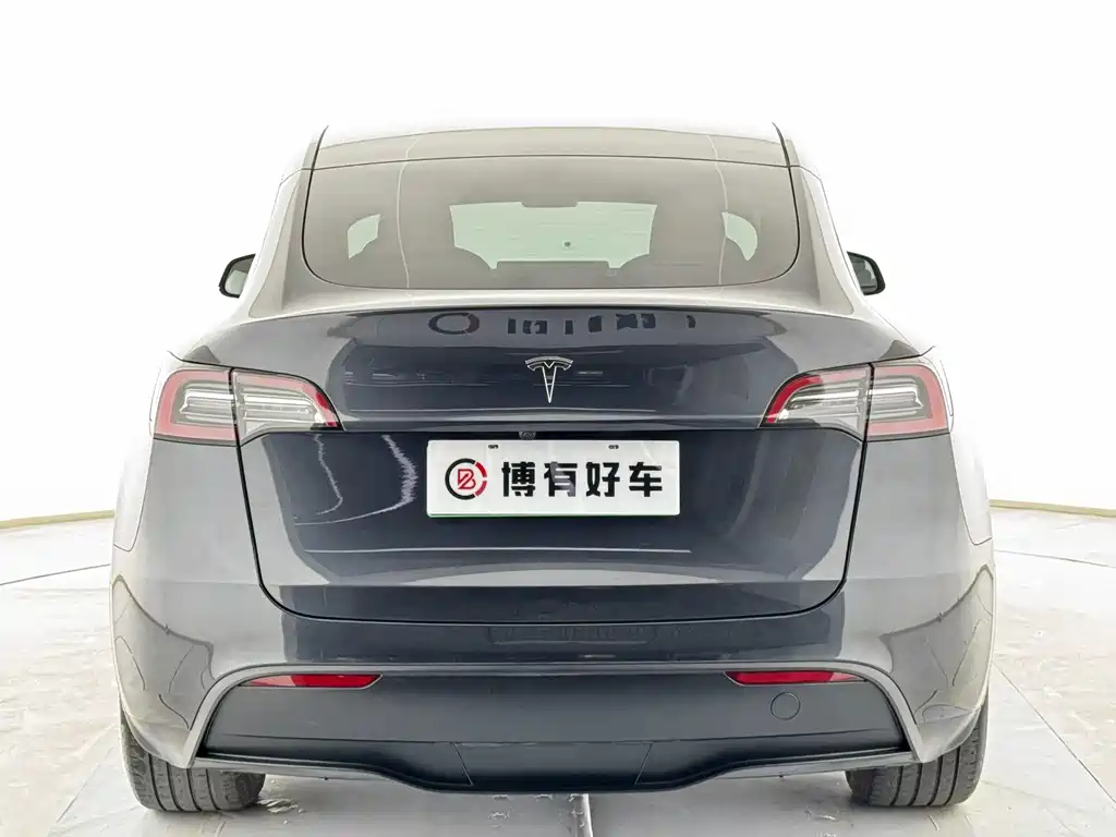 Tesla Model Y — фото 14