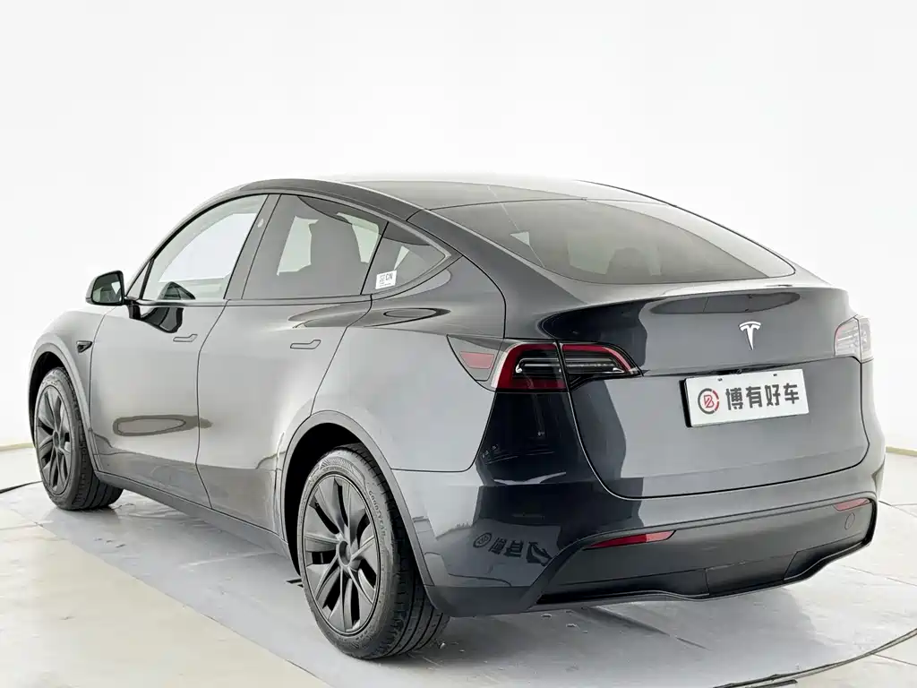 Tesla Model Y — фото 15