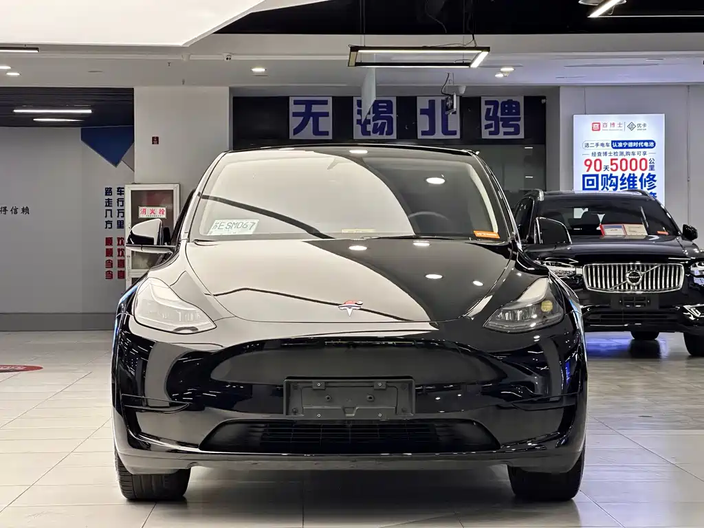 Tesla Model Y — фото 3