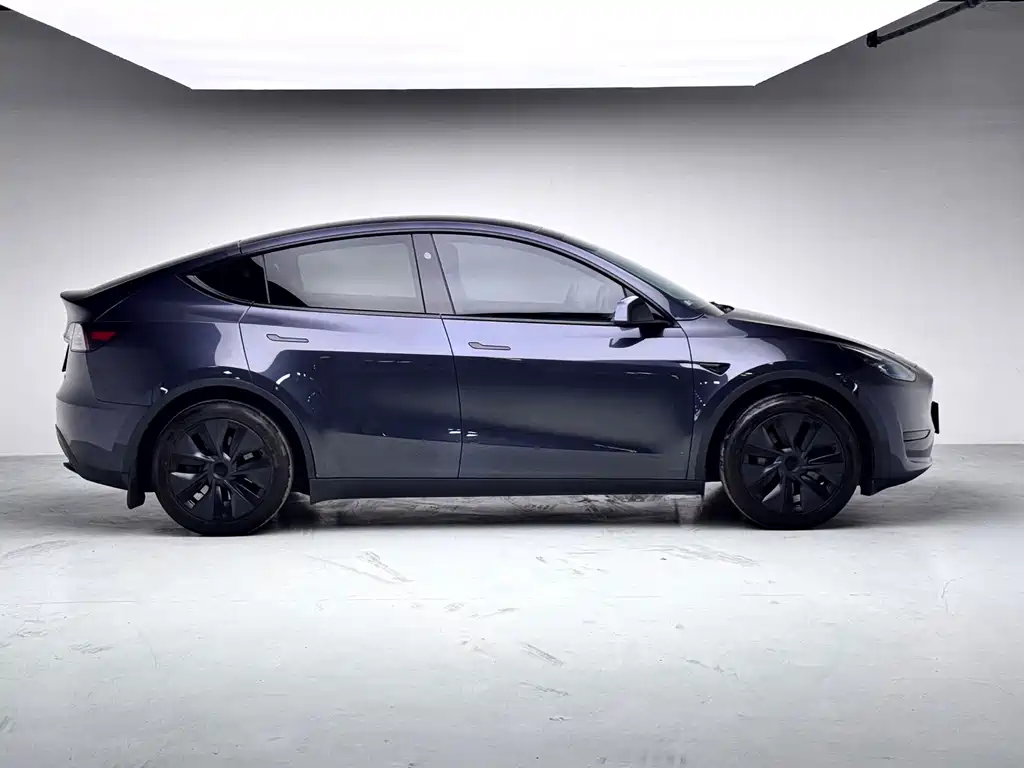 Tesla Model Y — фото 15