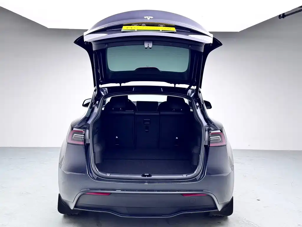Tesla Model Y — фото 19