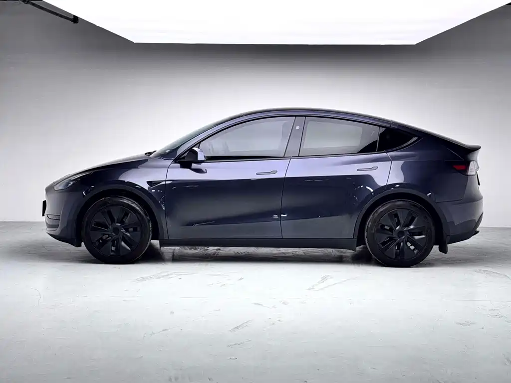 Tesla Model Y — фото 21