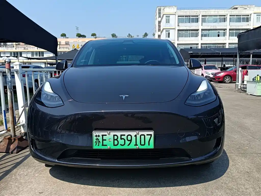 Tesla Model Y — фото 2
