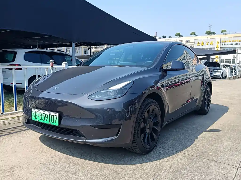 Tesla Model Y — фото 1