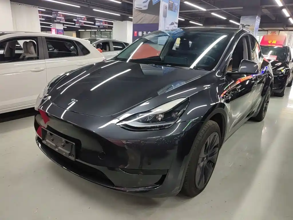 Tesla Model Y — фото 2