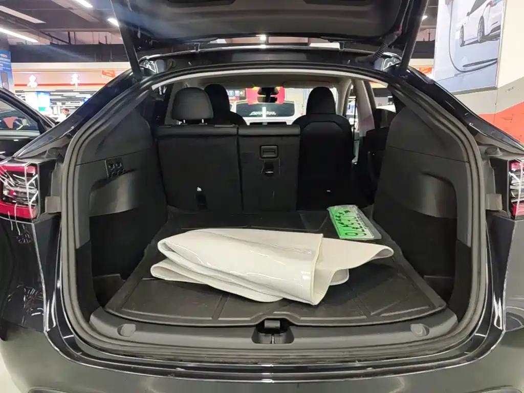 Tesla Model Y — фото 19