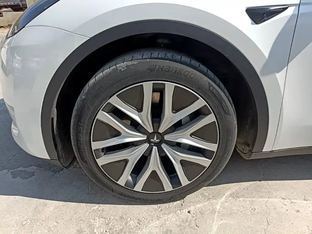 Tesla Model Y — фото 23