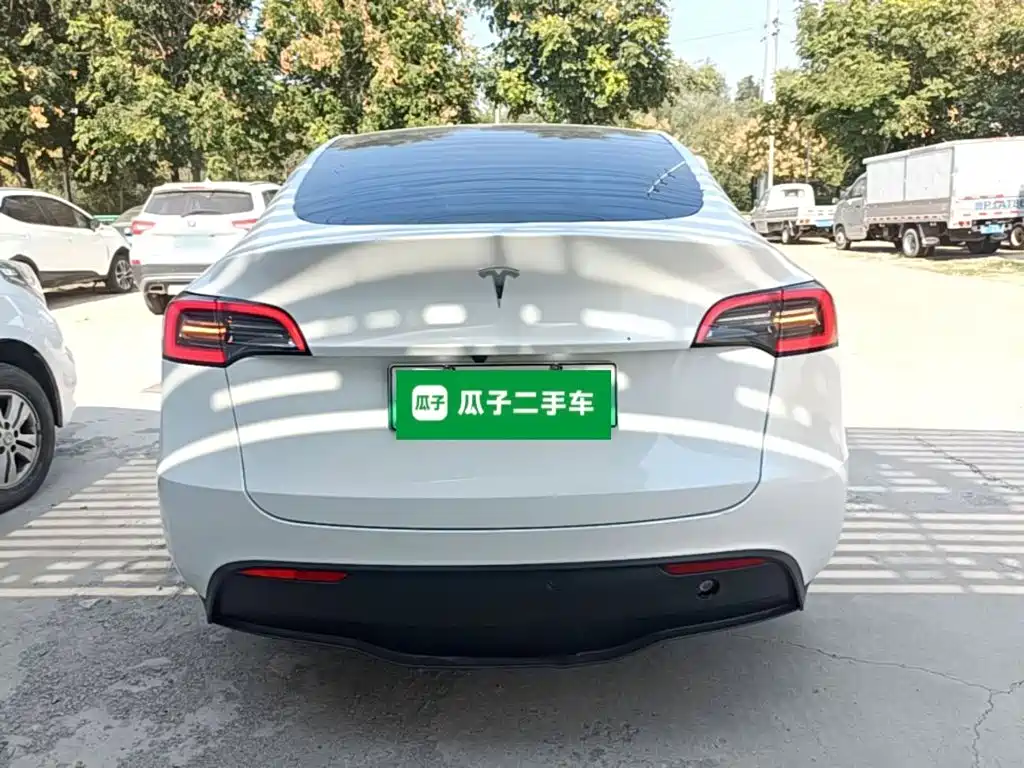 Tesla Model Y — фото 6
