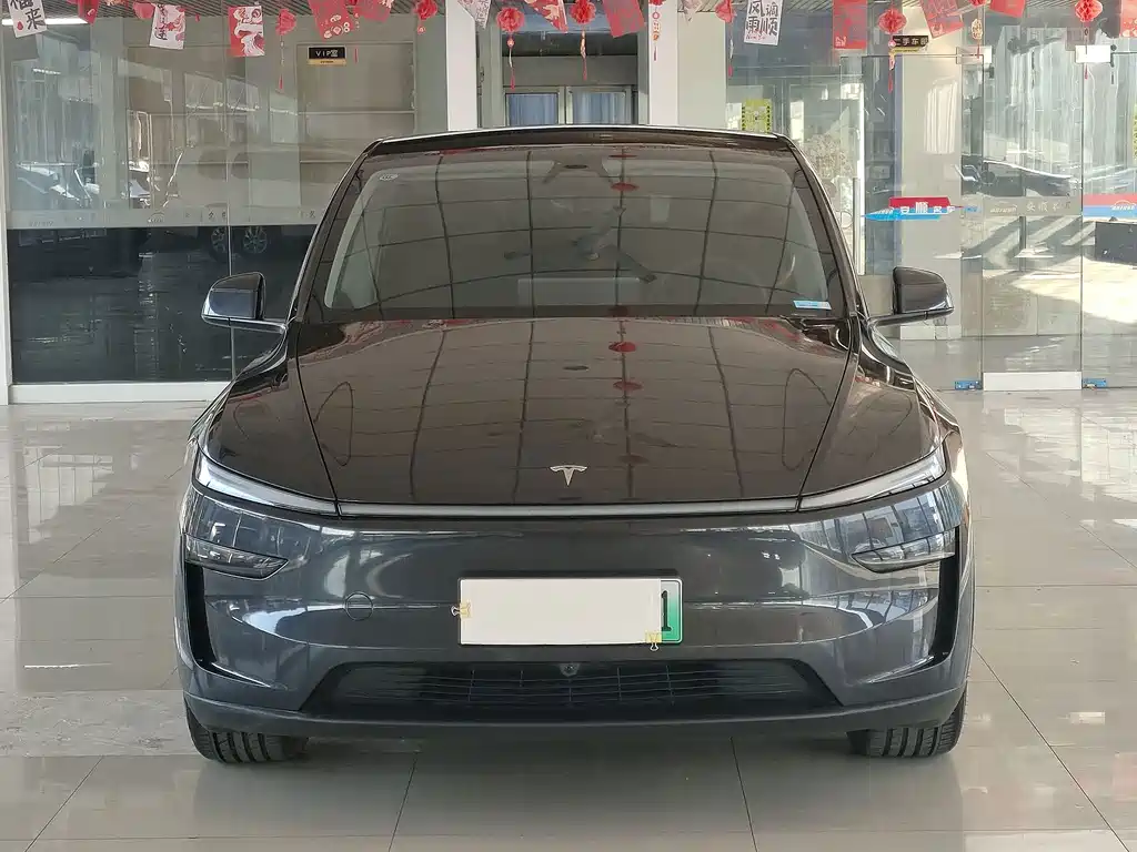 Tesla Model Y — фото 2