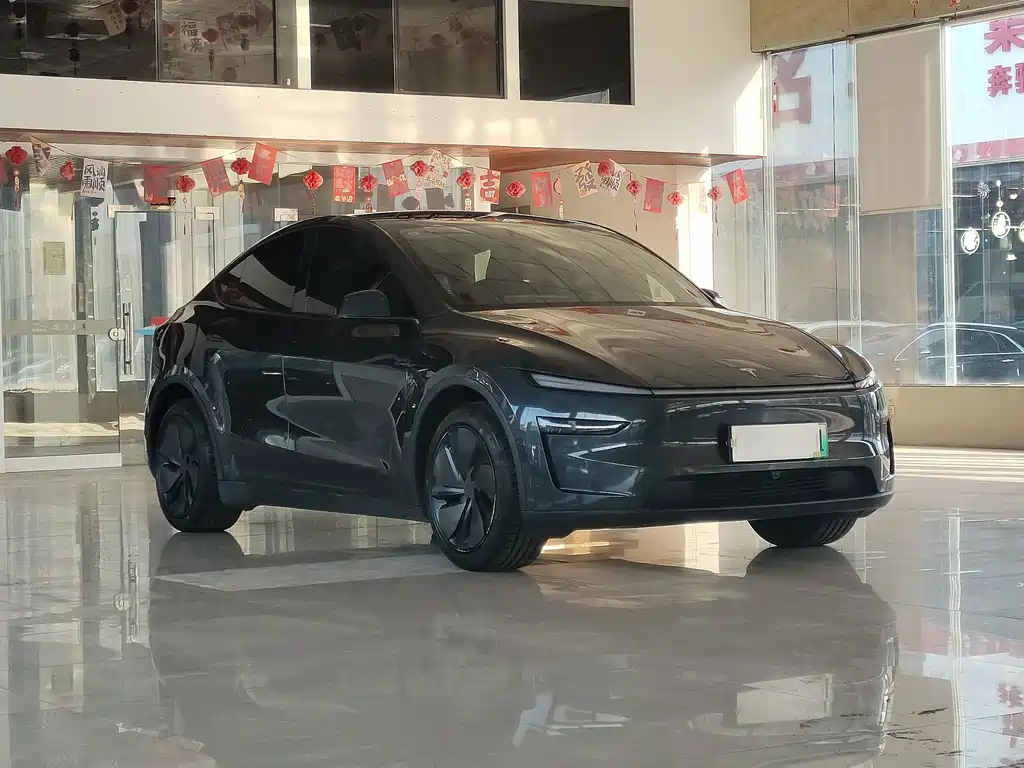 Tesla Model Y — фото 3