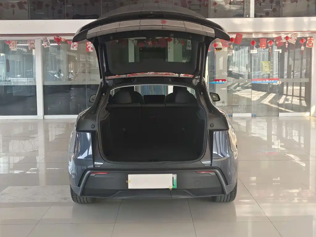 Tesla Model Y — фото 29
