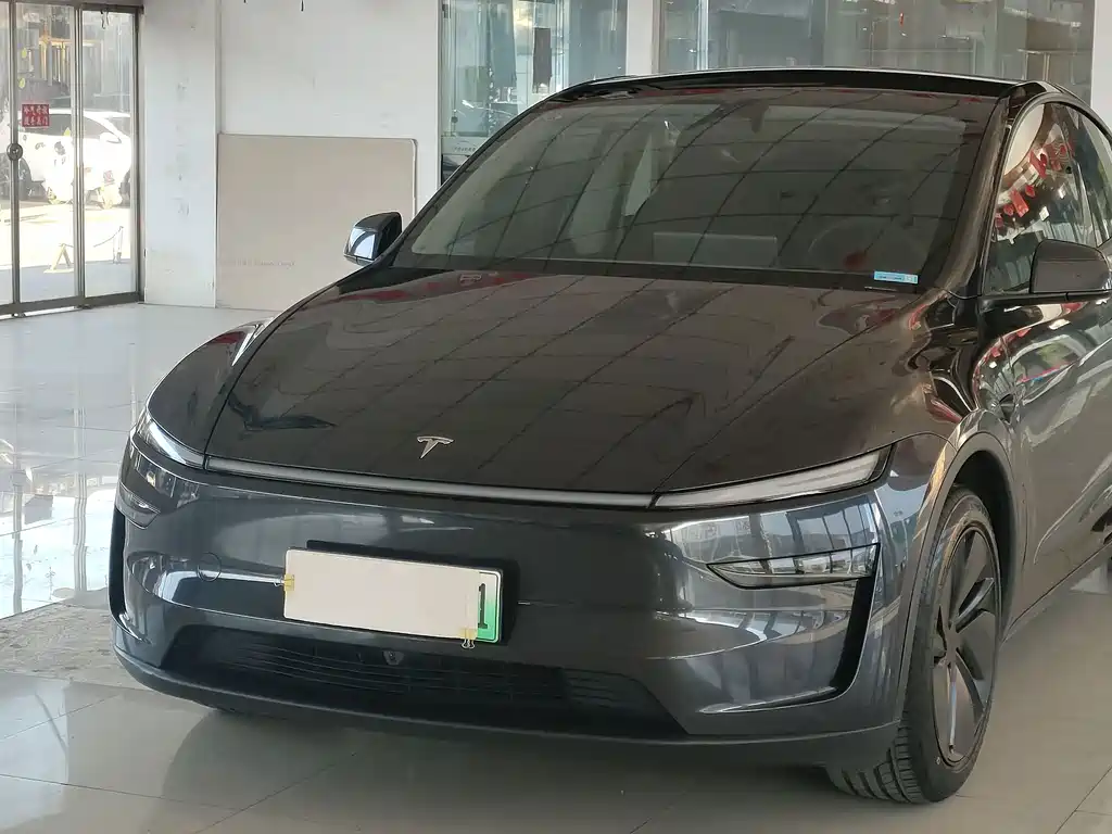 Tesla Model Y — фото 9