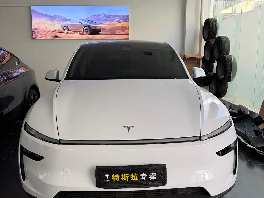 Tesla Model Y — фото 2