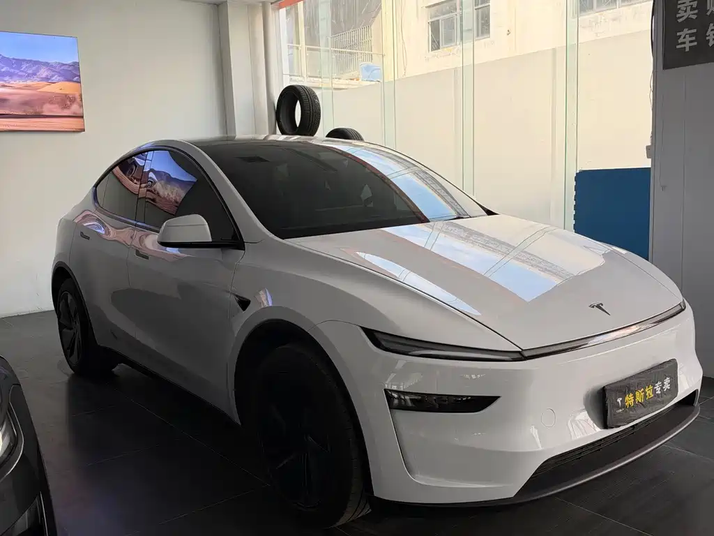 Tesla Model Y — фото 3