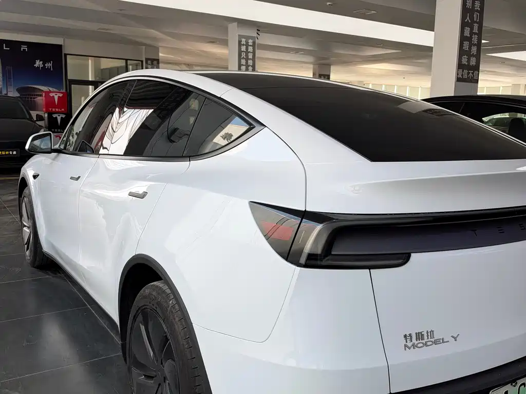 Tesla Model Y — фото 9