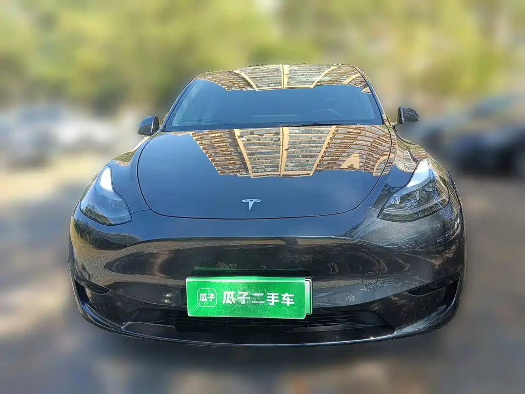 Tesla Model Y — фото 2