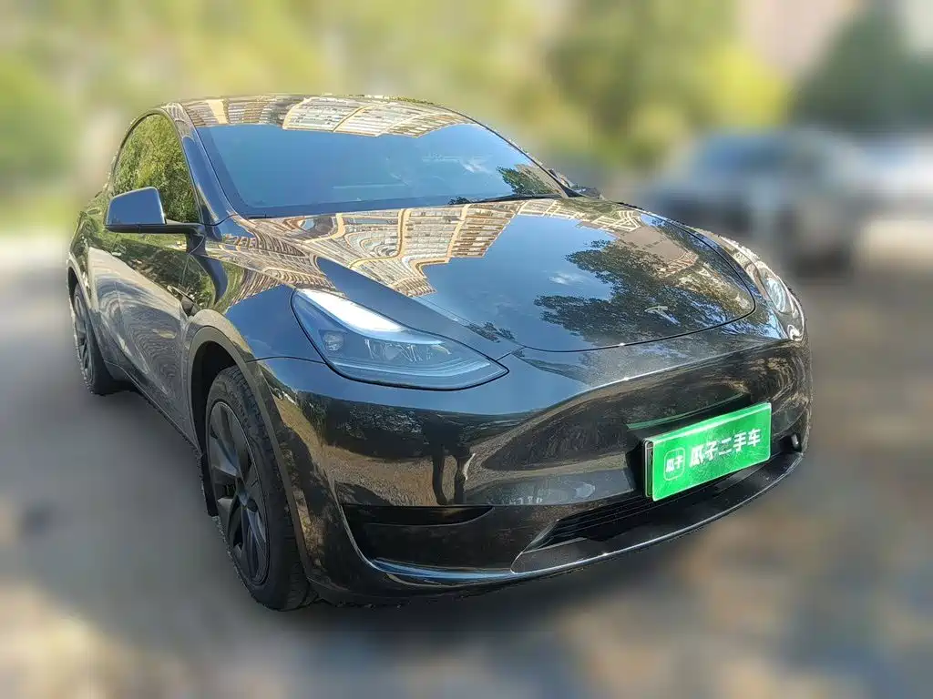 Tesla Model Y — фото 3