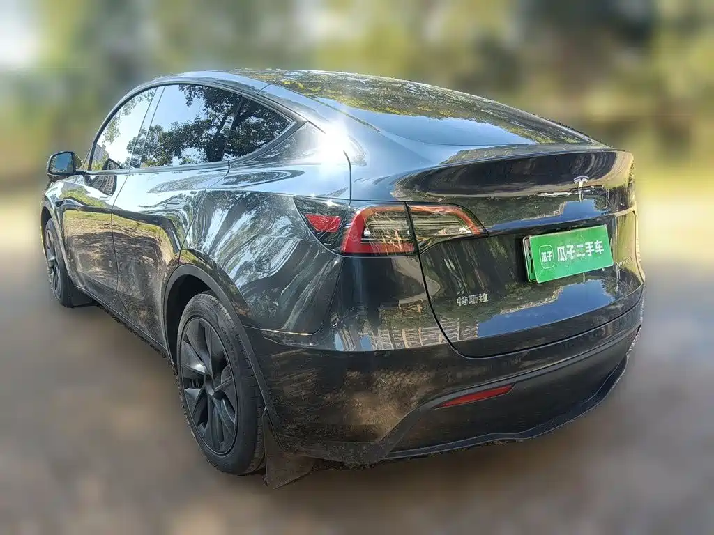 Tesla Model Y — фото 4