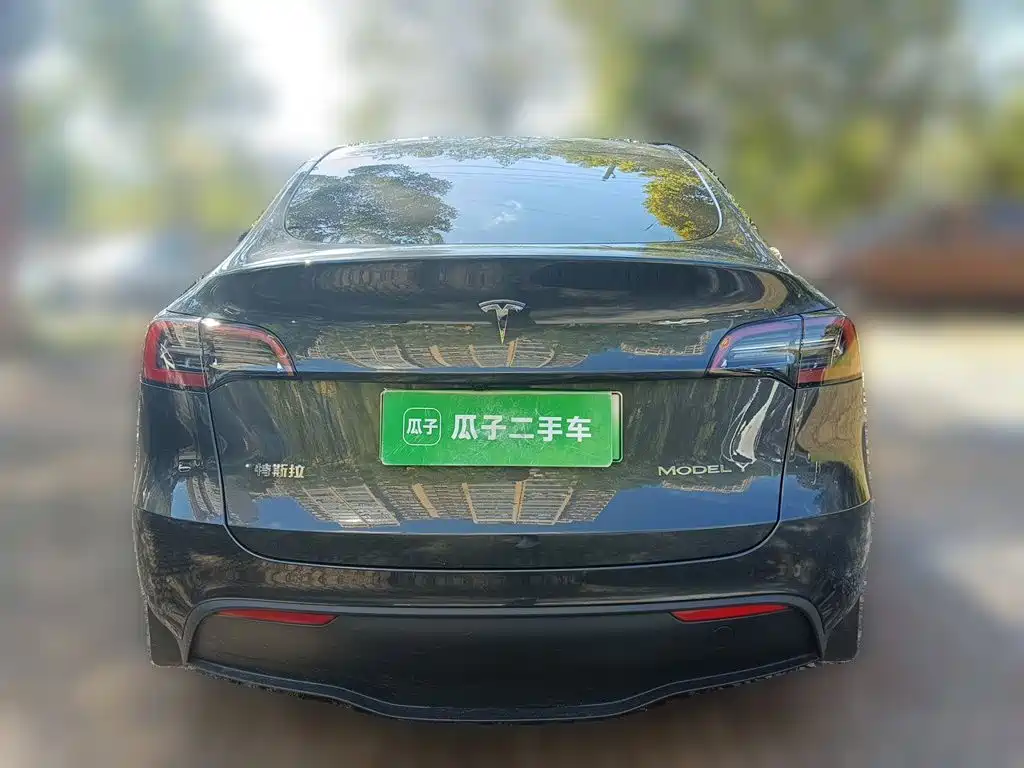 Tesla Model Y — фото 5