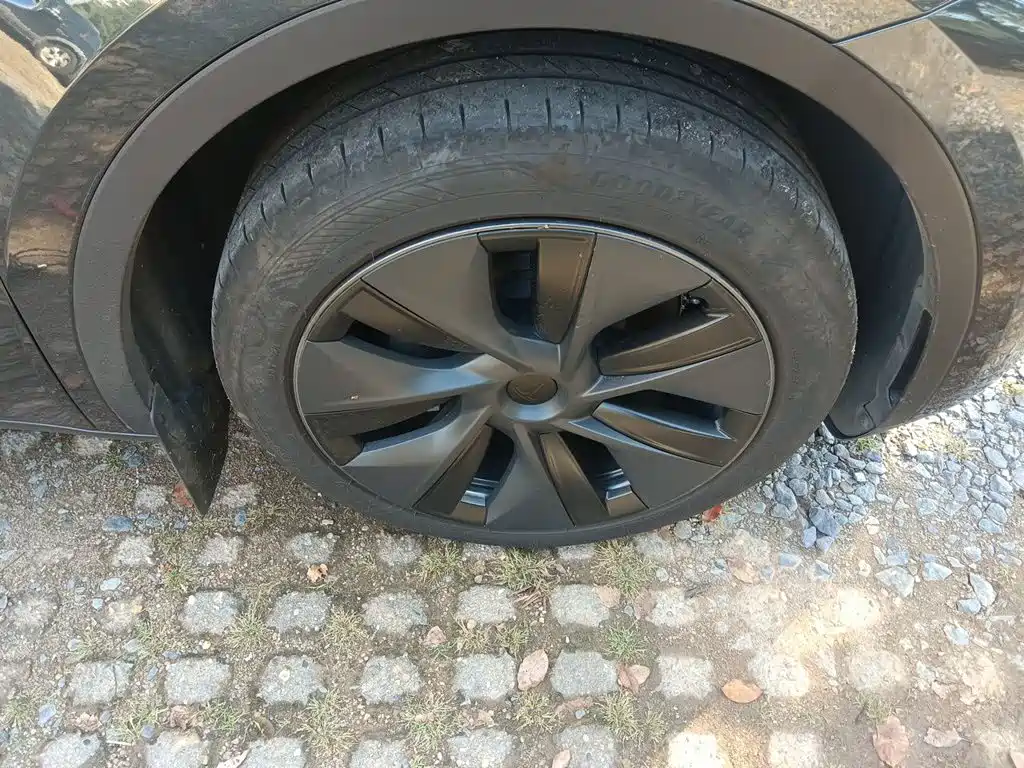 Tesla Model Y — фото 8