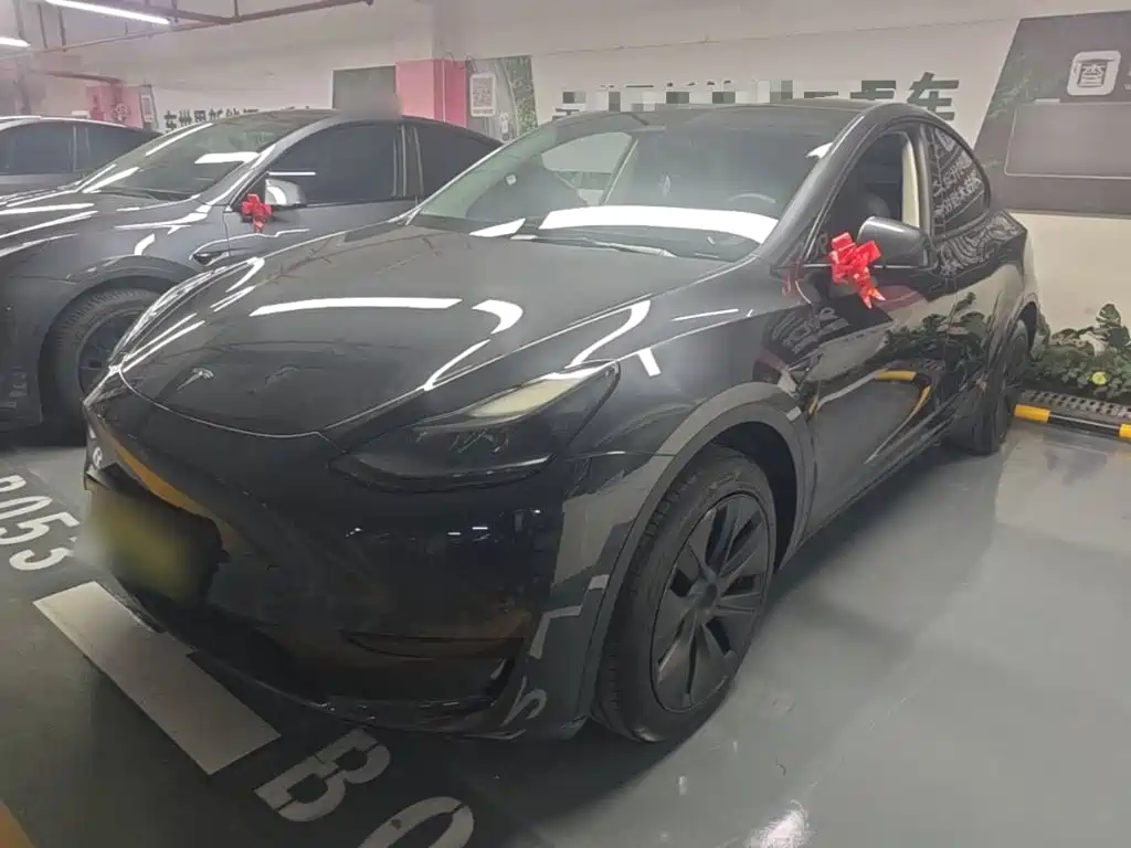 Tesla Model Y — фото 2