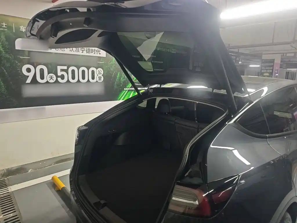 Tesla Model Y — фото 19