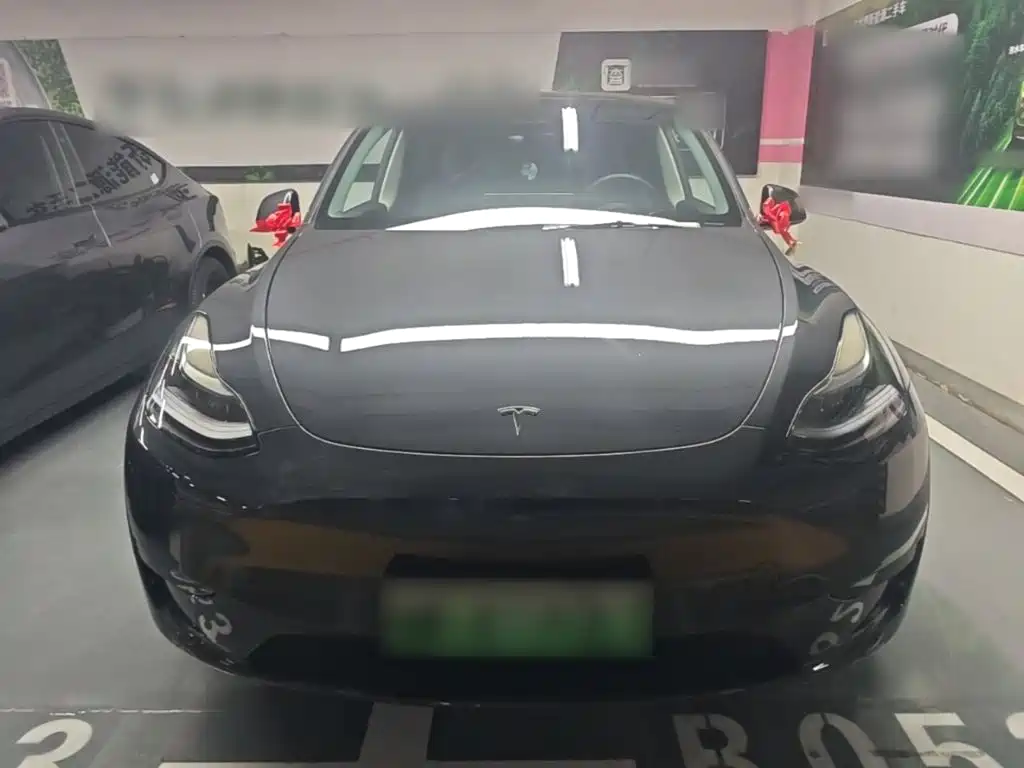 Tesla Model Y — фото 3