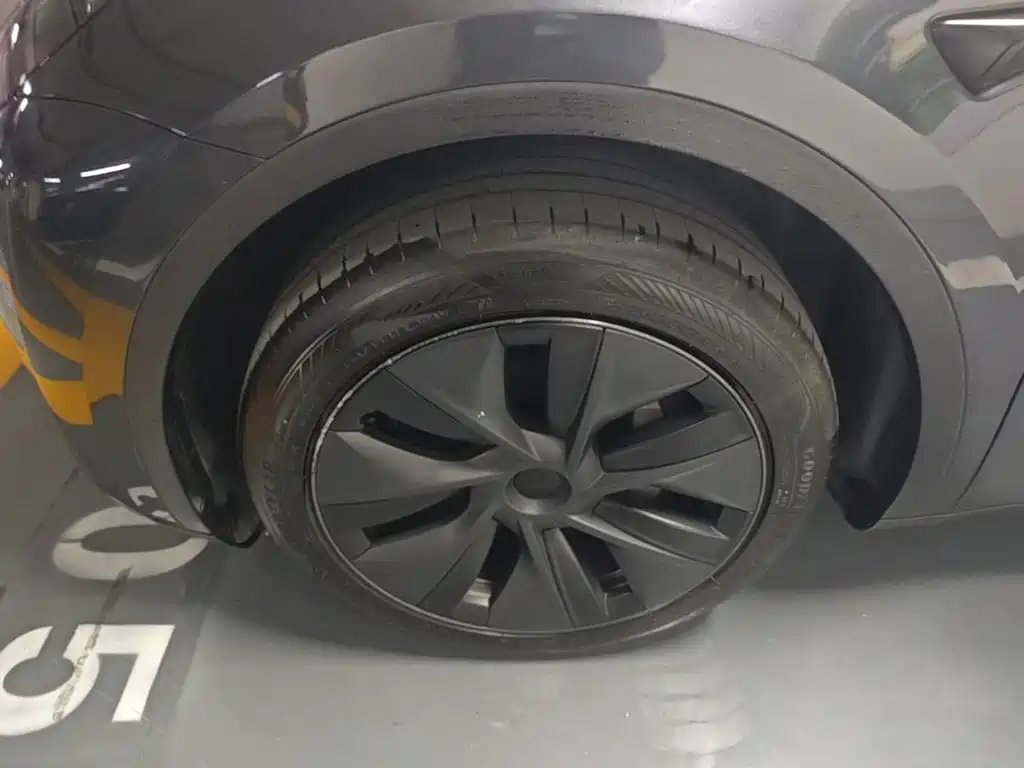Tesla Model Y — фото 23