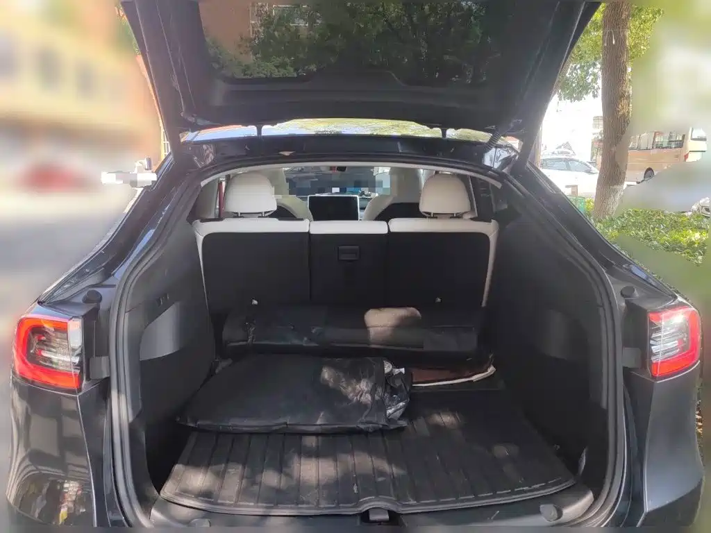 Tesla Model Y — фото 15