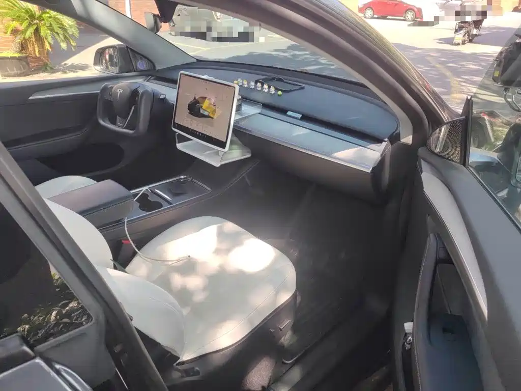 Tesla Model Y — фото 19