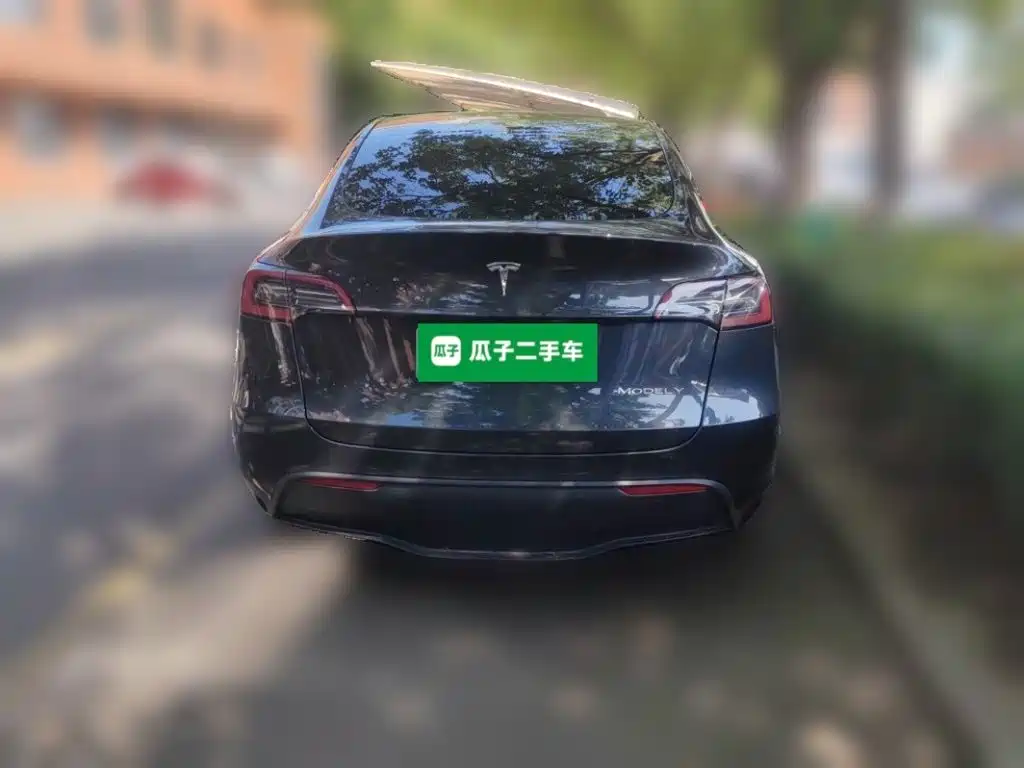 Tesla Model Y — фото 3