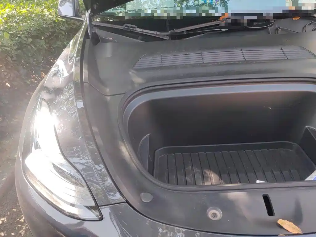 Tesla Model Y — фото 21