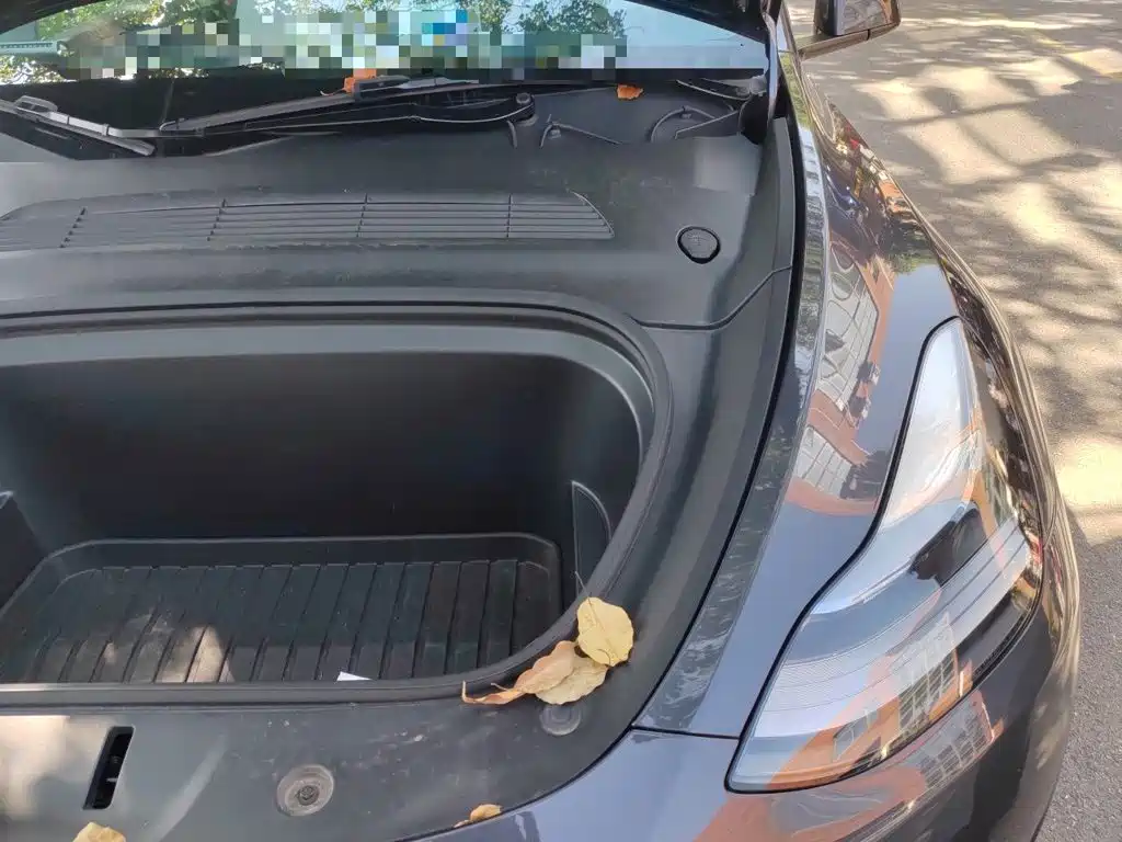 Tesla Model Y — фото 22