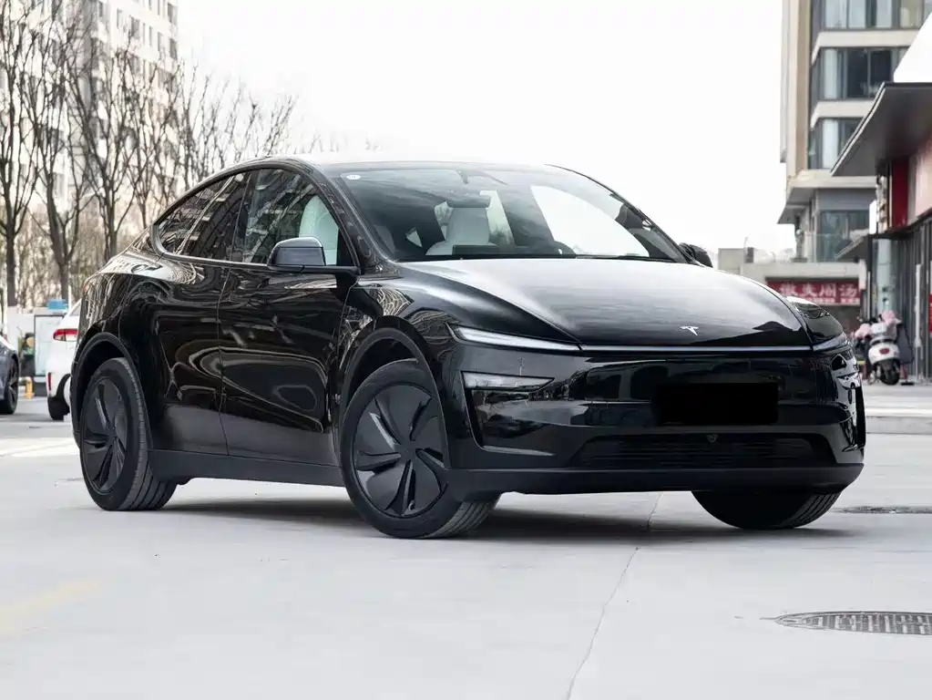 Tesla Model Y — фото 2