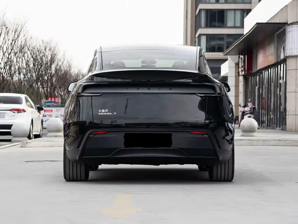 Tesla Model Y — фото 3