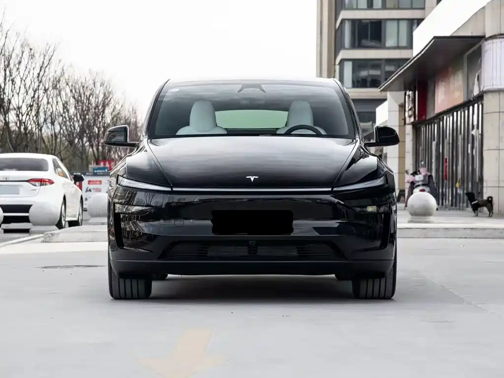 Tesla Model Y — фото 1