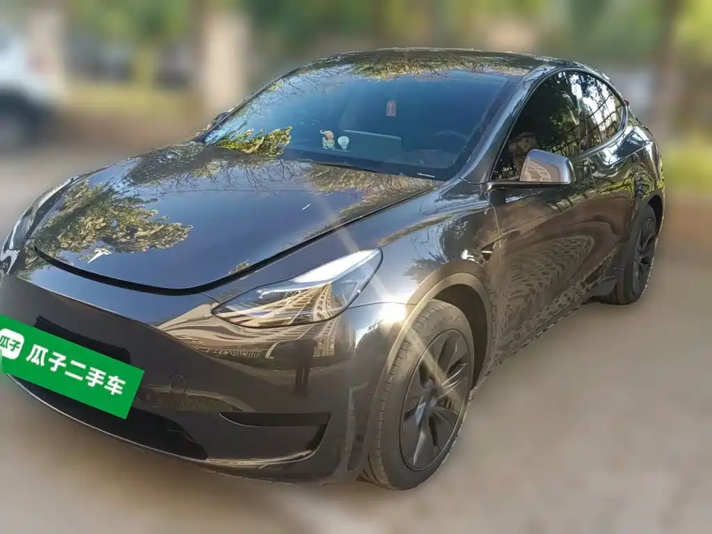 Tesla Model Y — фото 2
