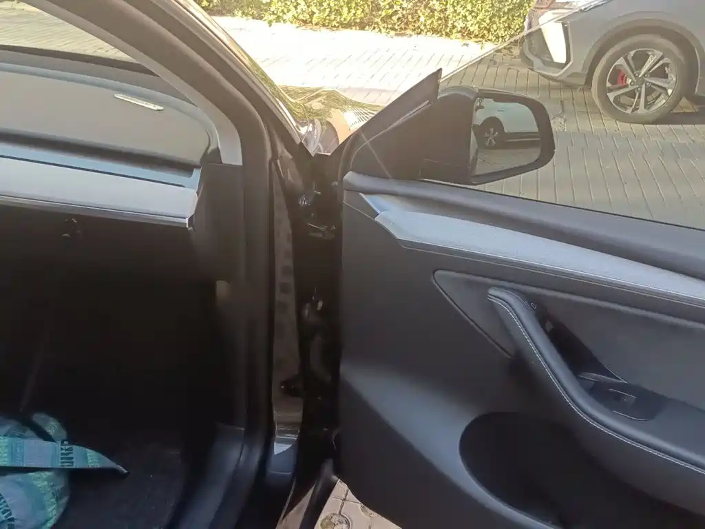 Tesla Model Y — фото 18