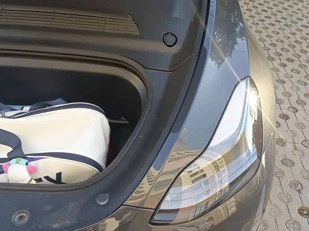 Tesla Model Y — фото 21