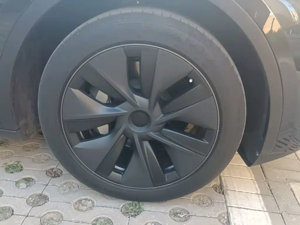 Tesla Model Y — фото 24