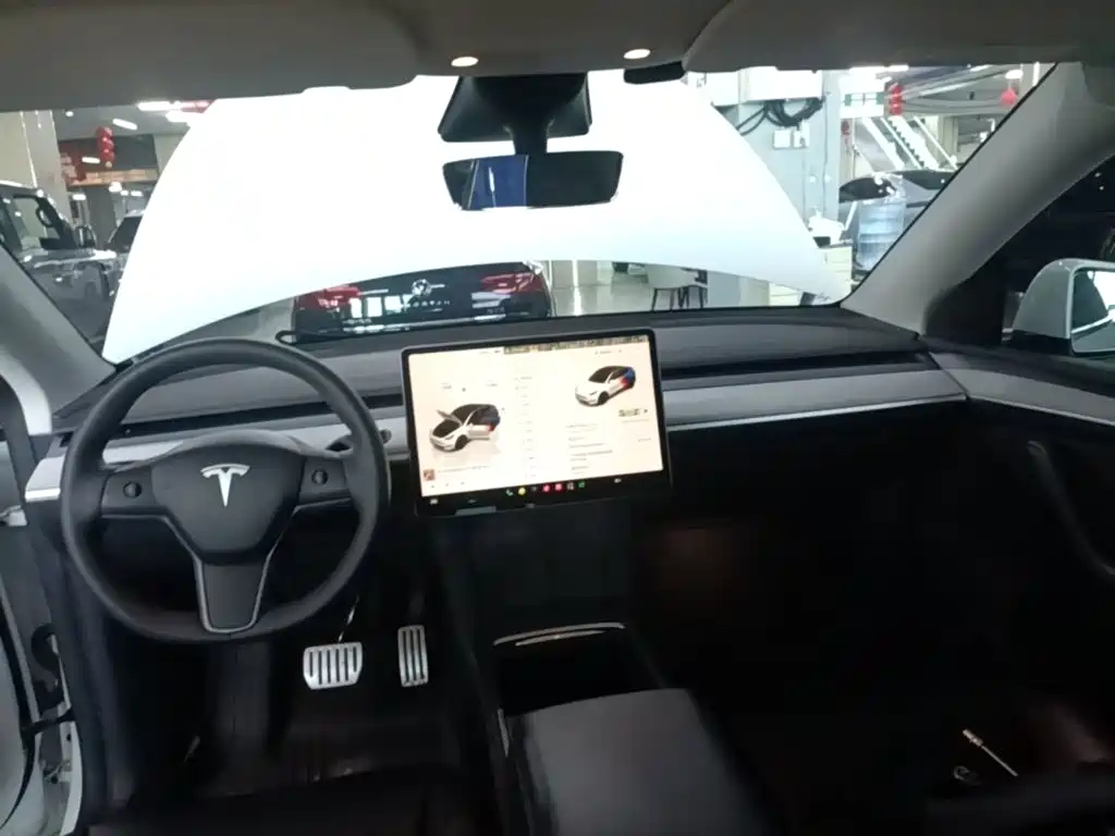 Tesla Model Y — фото 18
