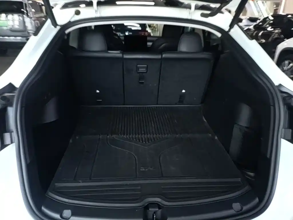 Tesla Model Y — фото 19