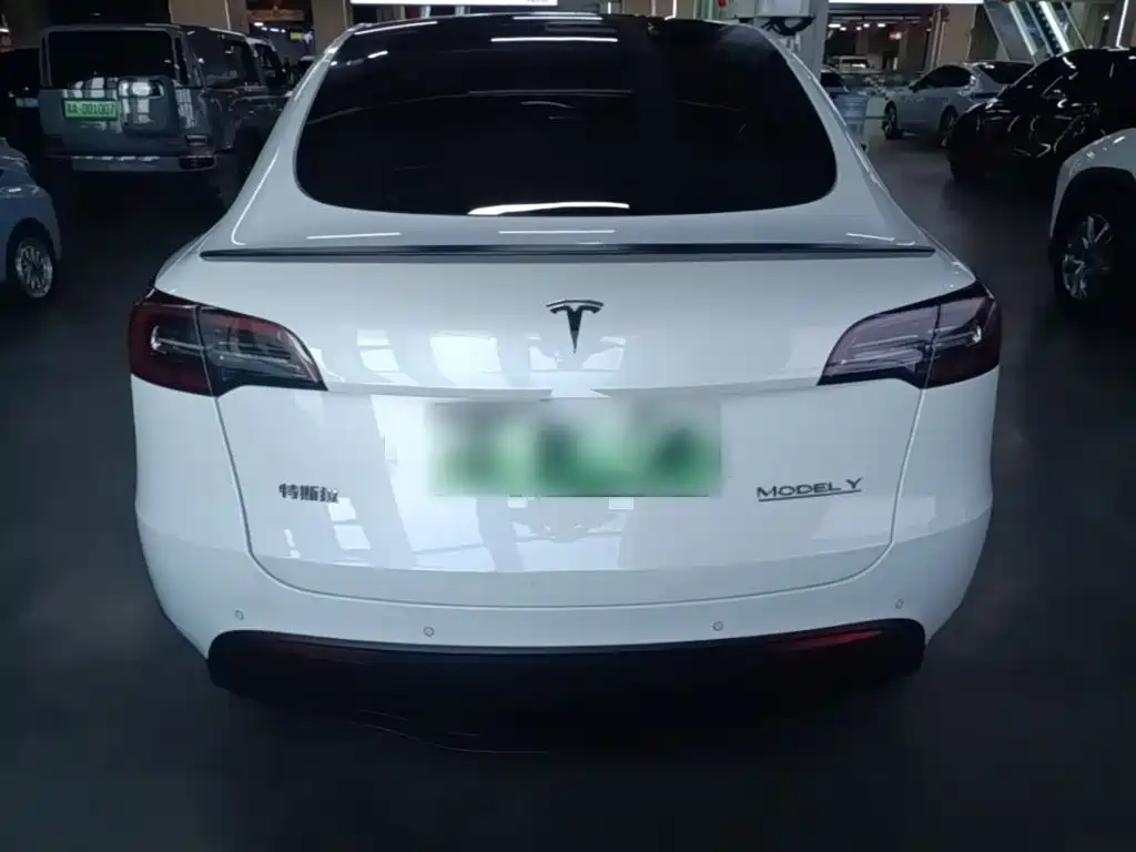 Tesla Model Y — фото 6