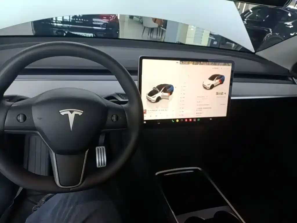Tesla Model Y — фото 10