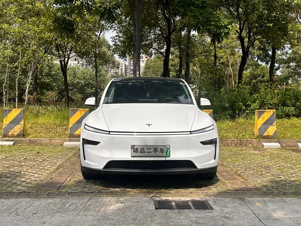 Tesla Model Y — фото 2
