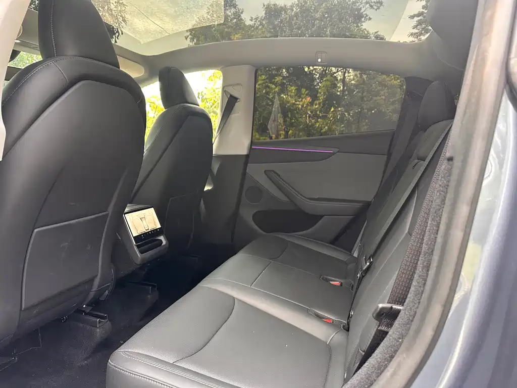 Tesla Model Y — фото 15